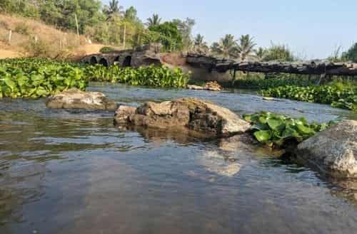 Manchanabele Dam